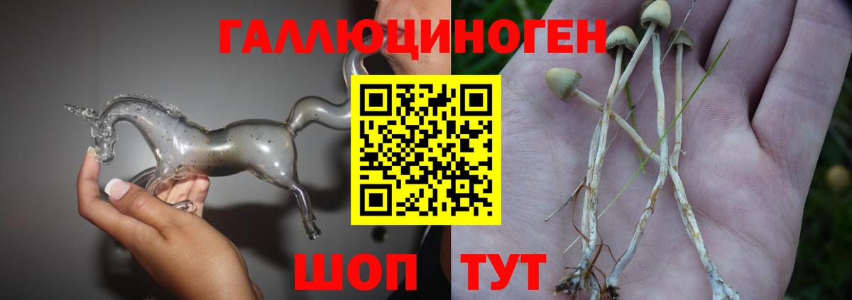 Галлюциногенные грибы Magic Shrooms  Вход с VPN  Советск  Галлюциногенные грибы ЛСД 